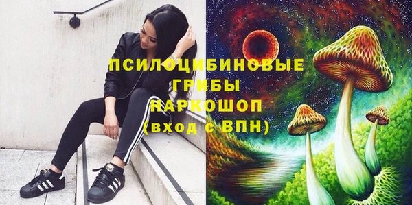 молекула духа Михайловск
