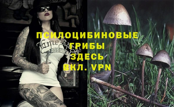 Альфа ПВП Михайловка