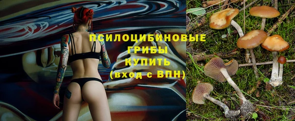гашиш Надым
