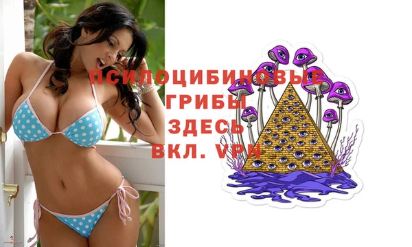 молекула духа Михайловск