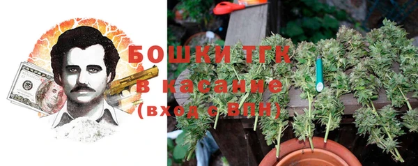 молекула духа Михайловск